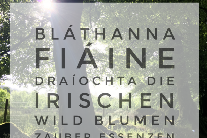 Bláthanna Fiáine Draíochta – Die irischen Wild Blumen Zauber Essenzen
