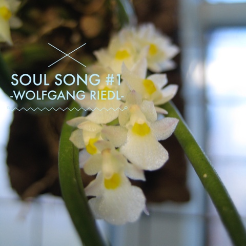 Soul Song Essenzen Trilogie – Integration deiner Seele –