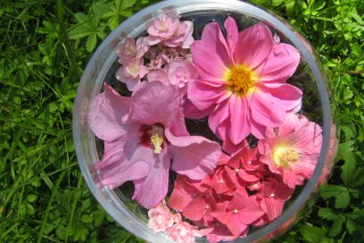 tauch ein in die feminine Energie – Pink Infusion New Energy Flower Essenz Kombination