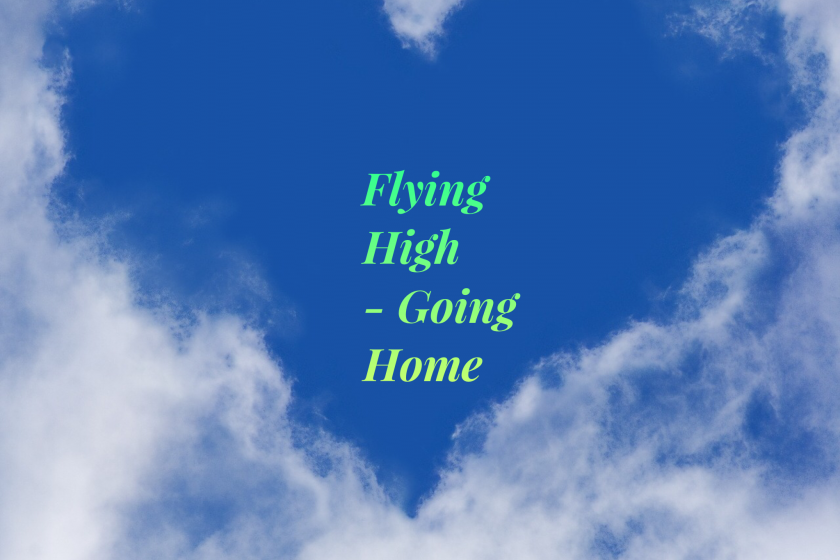 Flying High – Going Home – Die Transition Essenzen Kombination –