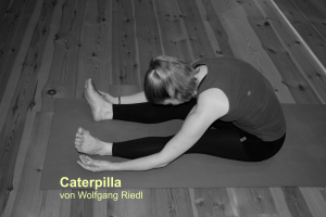 caterpilla-yin-yoga-wolfgang-riedl