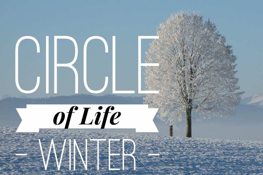 Circle of Life – eine Yin Yoga Reise durch die Jahreszeiten – Der Winter