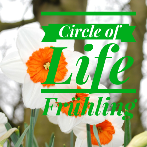 Circle of Life – eine Yin Yoga Reise durch die Jahreszeiten – Der Frühling -