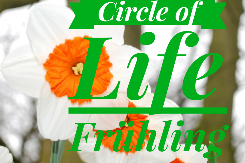 Circle of Life – eine Yin Yoga Reise durch die Jahreszeiten – Der Frühling –