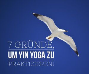 7 Gruende Yin Yoga zu praktizieren wolfgang Riedl