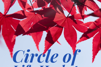 Circle of Life – eine Yin Yoga Reise durch die Jahreszeiten – Der Herbst