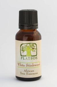 essence-white-stinkwood-800-198×300