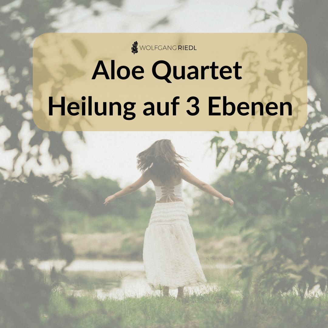 Aloe Quartet - Heilung auf 3 Ebenen
