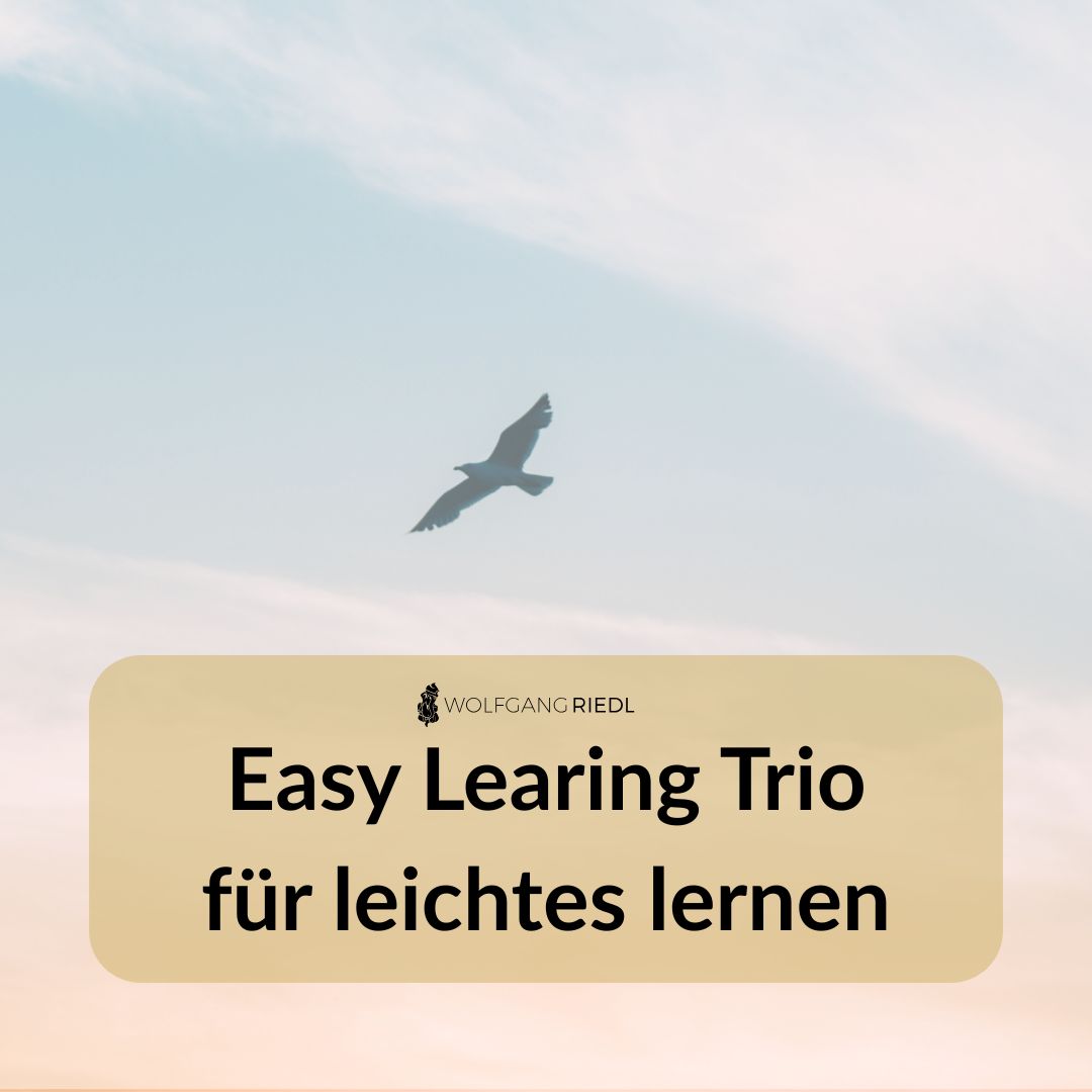 Easy Learing Trio - für leichtes lernen