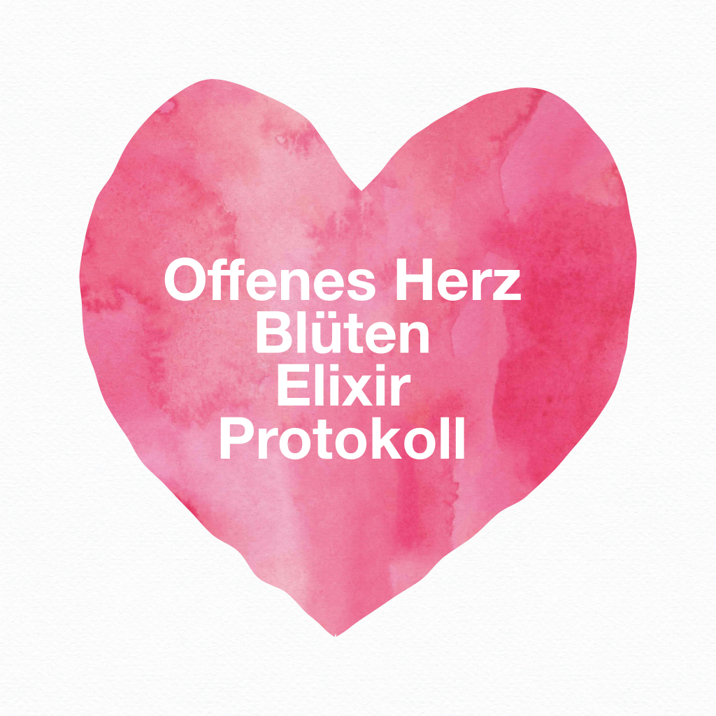Offenes Herz Heilt dein Herz — Wolfgang Riedl