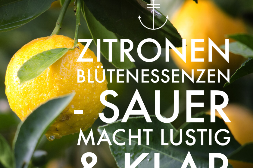 Sauer macht lustig & klar – die Zitronen-Blütenessenz