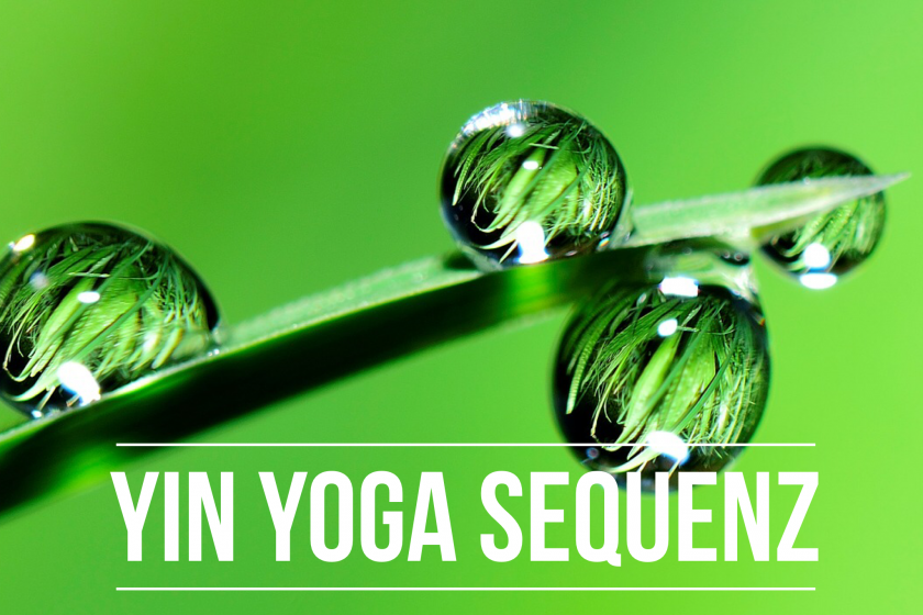 Yin Yoga Let’s Twist again – Die Energie fließen lassen