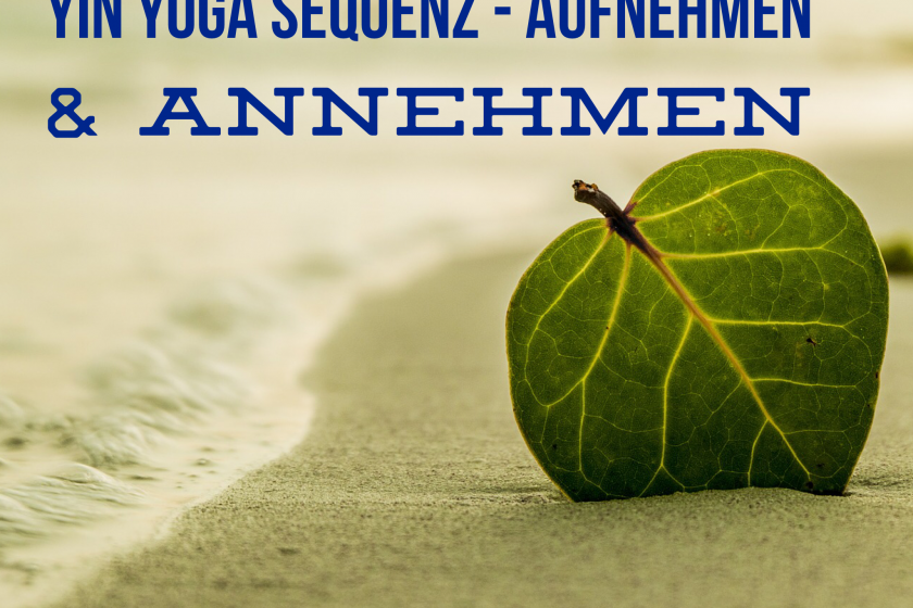 Yin Yoga Sequenz – Aufnehmen und Annehmen