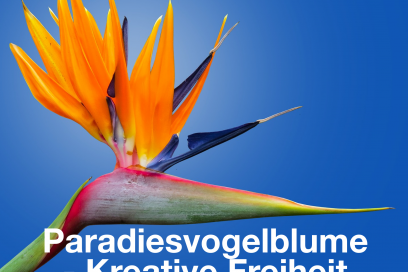 Paradiesvogelblume – Kreative Freiheit –