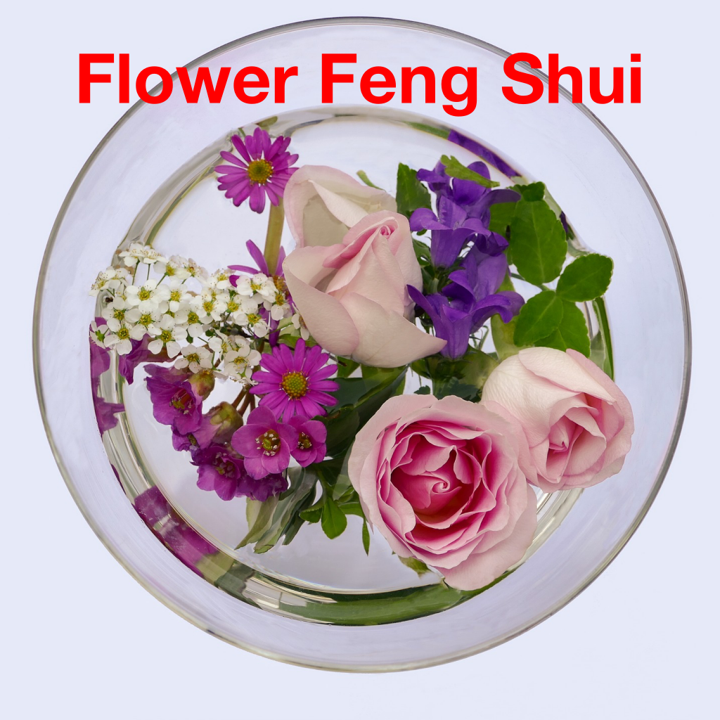 Flower Feng Shui Die Kunst, deinen Raum mit Energie zu harmonisieren! — Wolfgang Riedl
