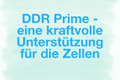 DDR Prime – eine kraftvolle Unterstützung für die Zellen