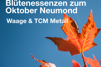Blütenessenzen zum Neumond 6.Oktober 2021 – Waage und TCM Metall