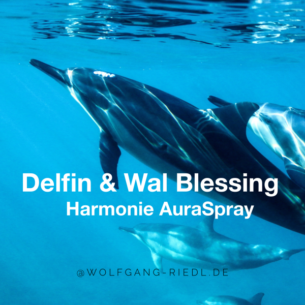 Delphin&Wal Titel