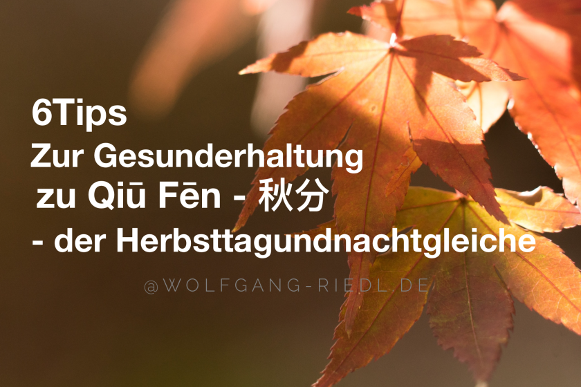 6 Tipps für die Gesunderhaltung zur Qiū Fēn – 秋分 Herbsttagundnachtgleiche