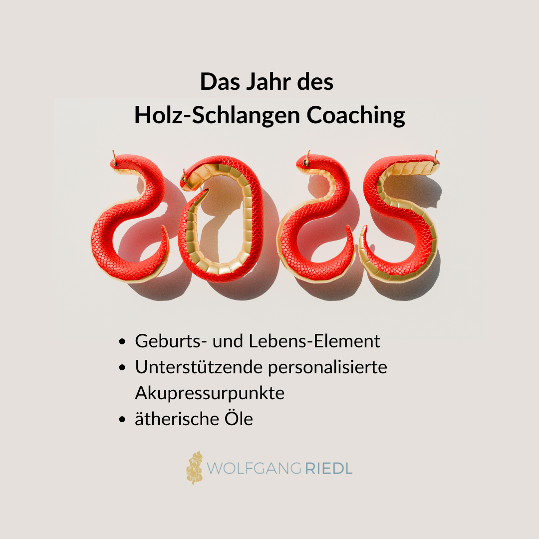 Holz-Schlangen Coaching