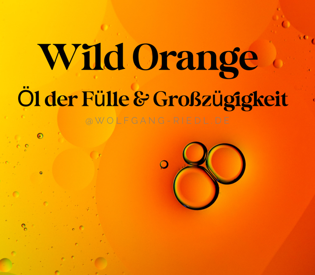 Wild Orange – Öl der Fülle & Großzügigkeit