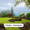 Hawaiian healing  Pic – 4