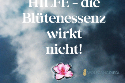 HILFE – die Blütenessenz wirkt nicht!