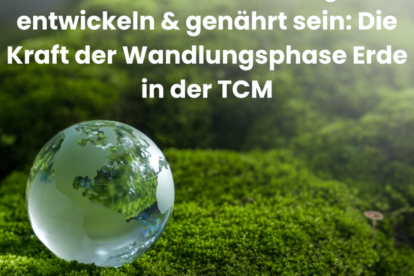 Gemeinschaft Leben, Mitgefühl entwickeln und genährt sein: Die Kraft der Wandlungsphase Erde in der TCM  