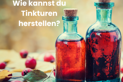 Wie kannst du Tinkturen herstellen?  