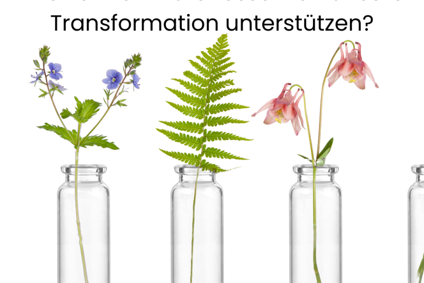 Wie können Blütenessenzen unsere Transformation unterstützen?  