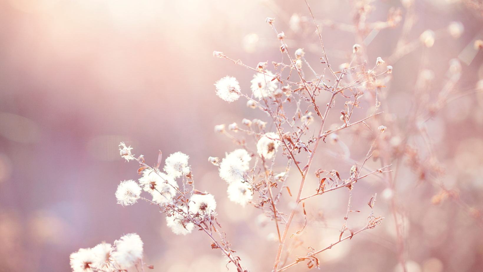 YY Sound Retreat 12.024