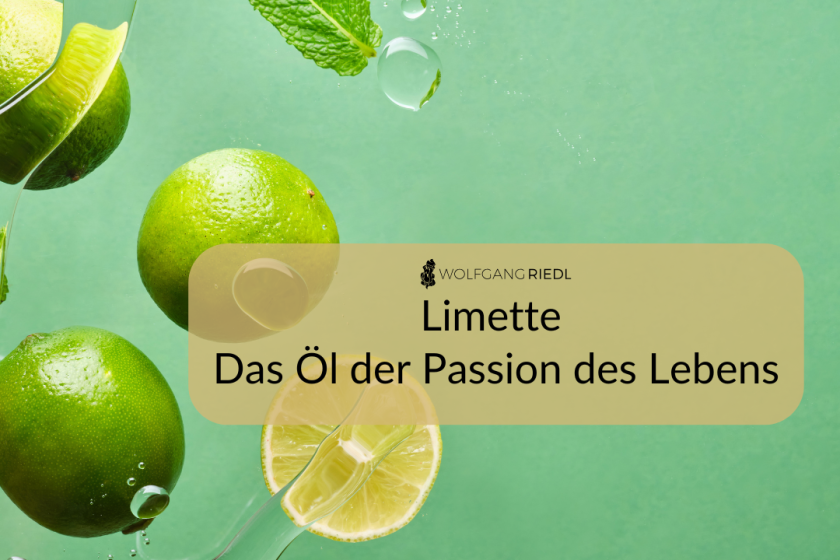 Limette – Ein Duft, der dein Leben erhellt mit Video