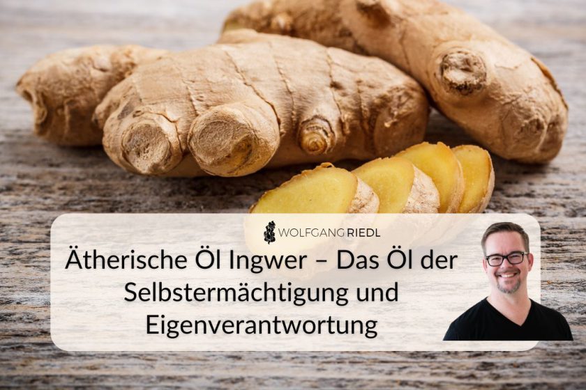 Ätherische Öl Ingwer – Das Öl der Selbstermächtigung und Eigenverantwortung mit Video