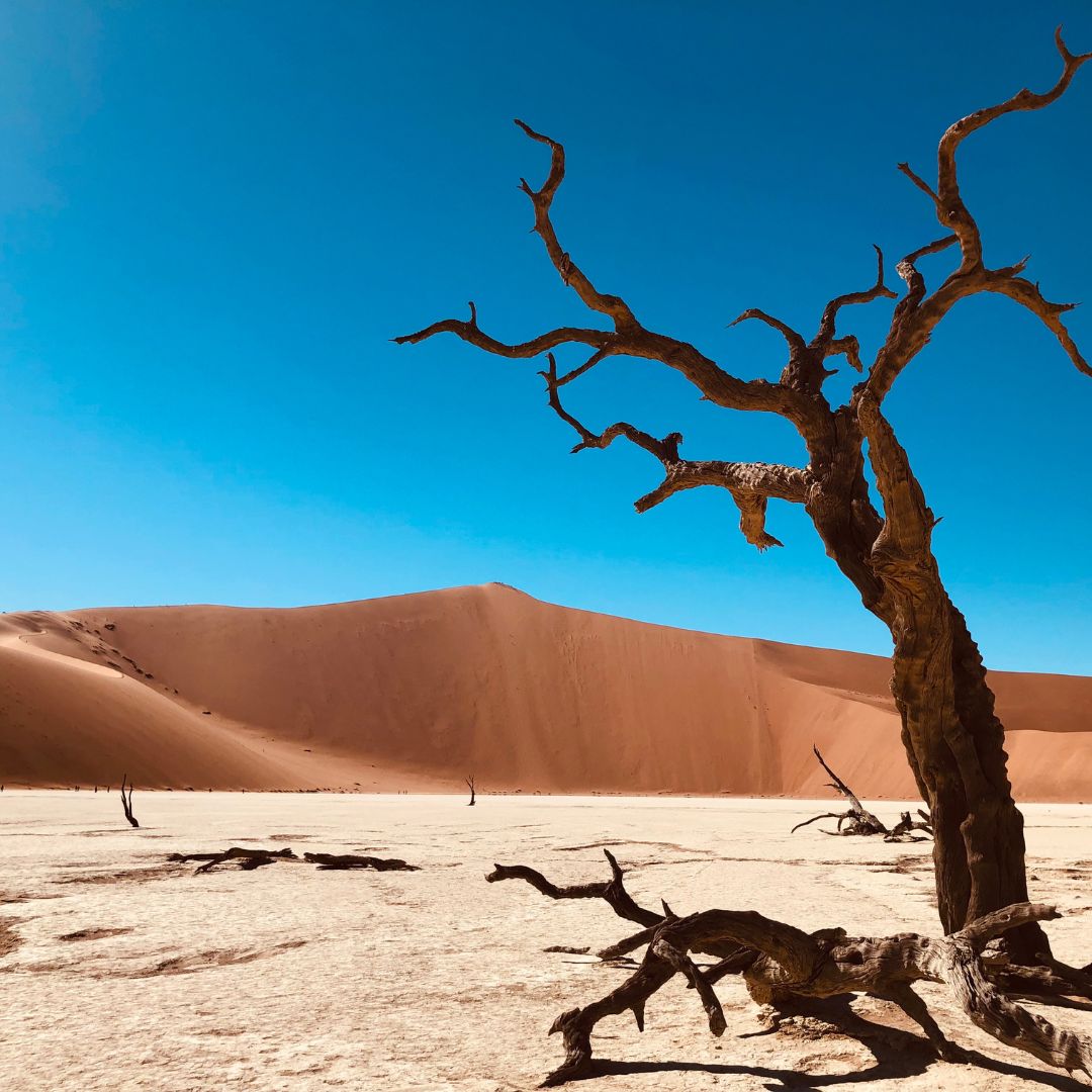 5. Namib-Wüsten-Essenz