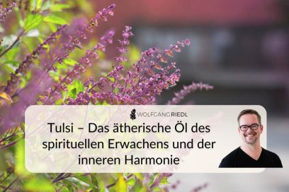 Tulsi – Das ätherische Öl des spirituellen Erwachens und der inneren Harmonie