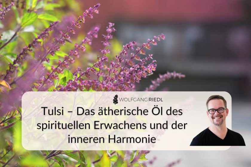 Tulsi – Das ätherische Öl des spirituellen Erwachens und der inneren Harmonie