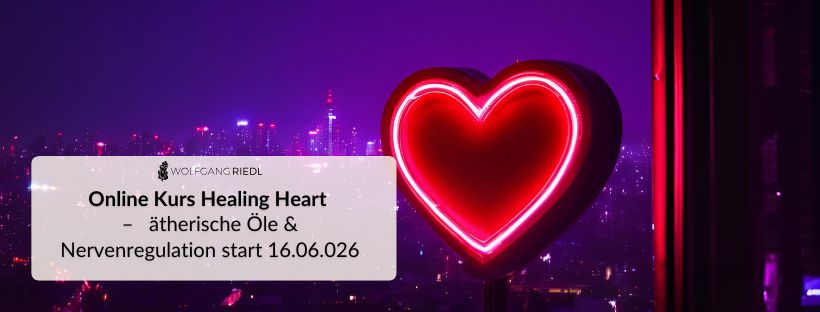 Geschützt: KursSeite healing Heart online Kurs 2026